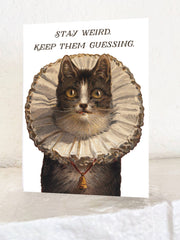 Stay Weird Funny Kitty Card - Birthday Friendship Everyday