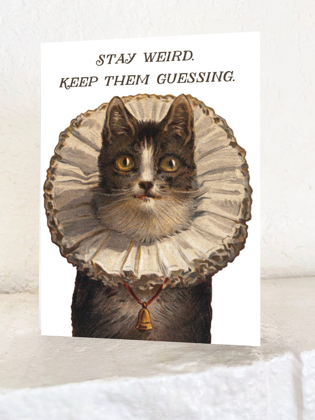 Stay Weird Funny Kitty Card - Birthday Friendship Everyday