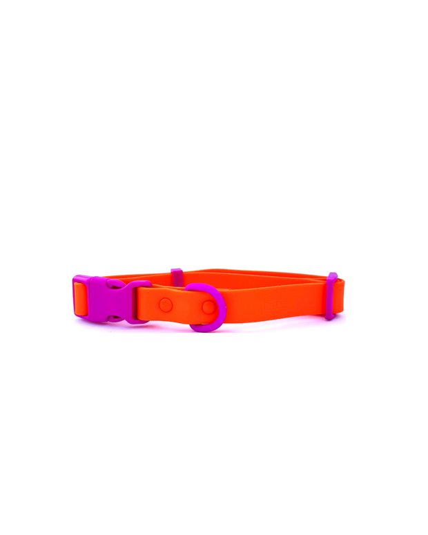 The Fritz Dog Collar | Sunset Violet: Medium