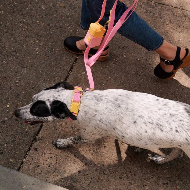 The Fritz Leash: Cherry-Small