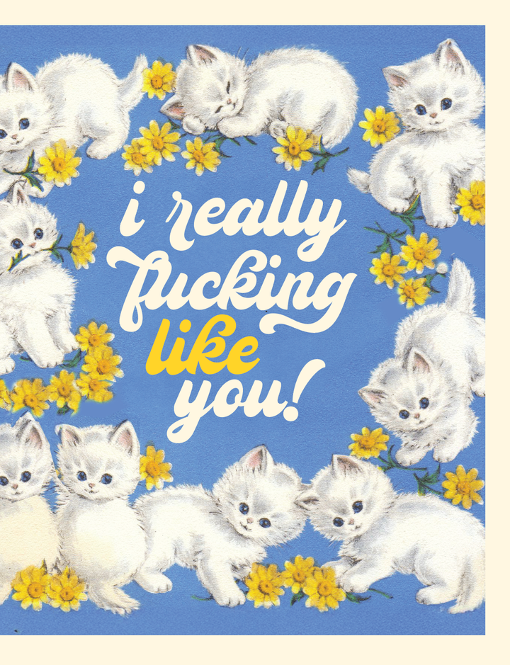 LIKE YOU KITTENS! love card