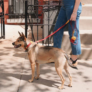 The Fritz Leash: Cherry-Small