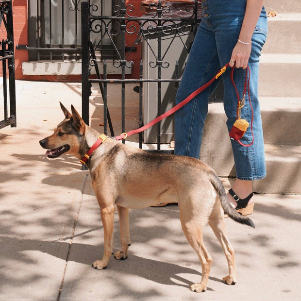 The Fritz Leash: Cherry-Small