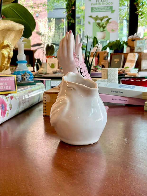 Bird Pitcher