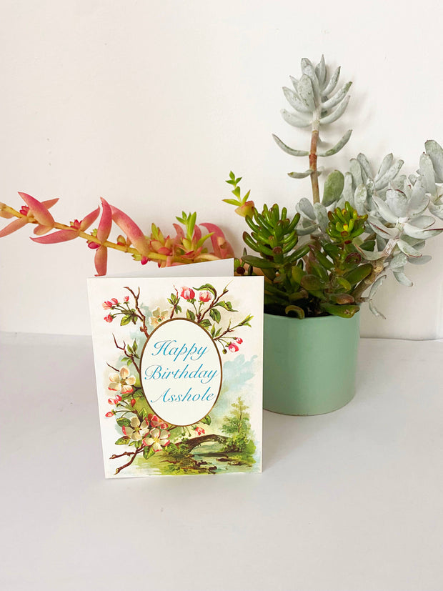 Happy Birthday Asshole Funny Greeting Card