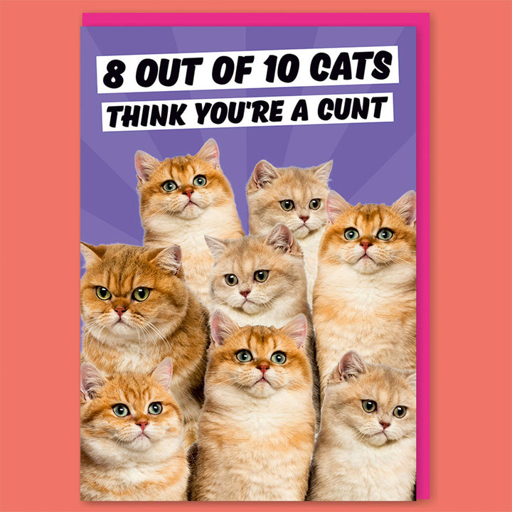 8 out of 10 Cats Greeting Card