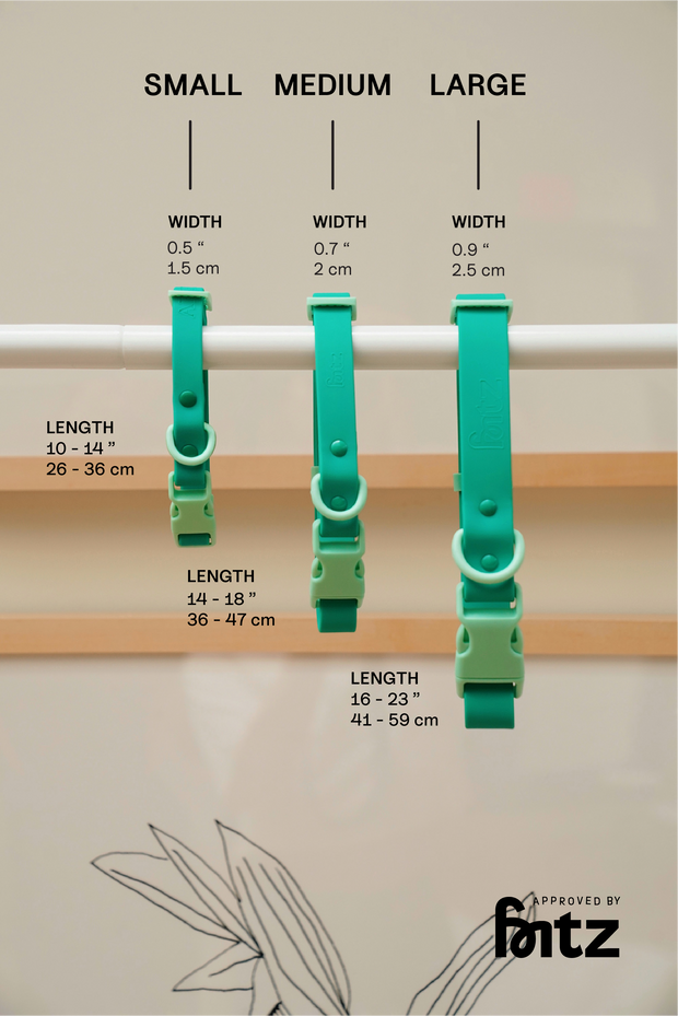 The Fritz Dog Collar : Orange mango / Small