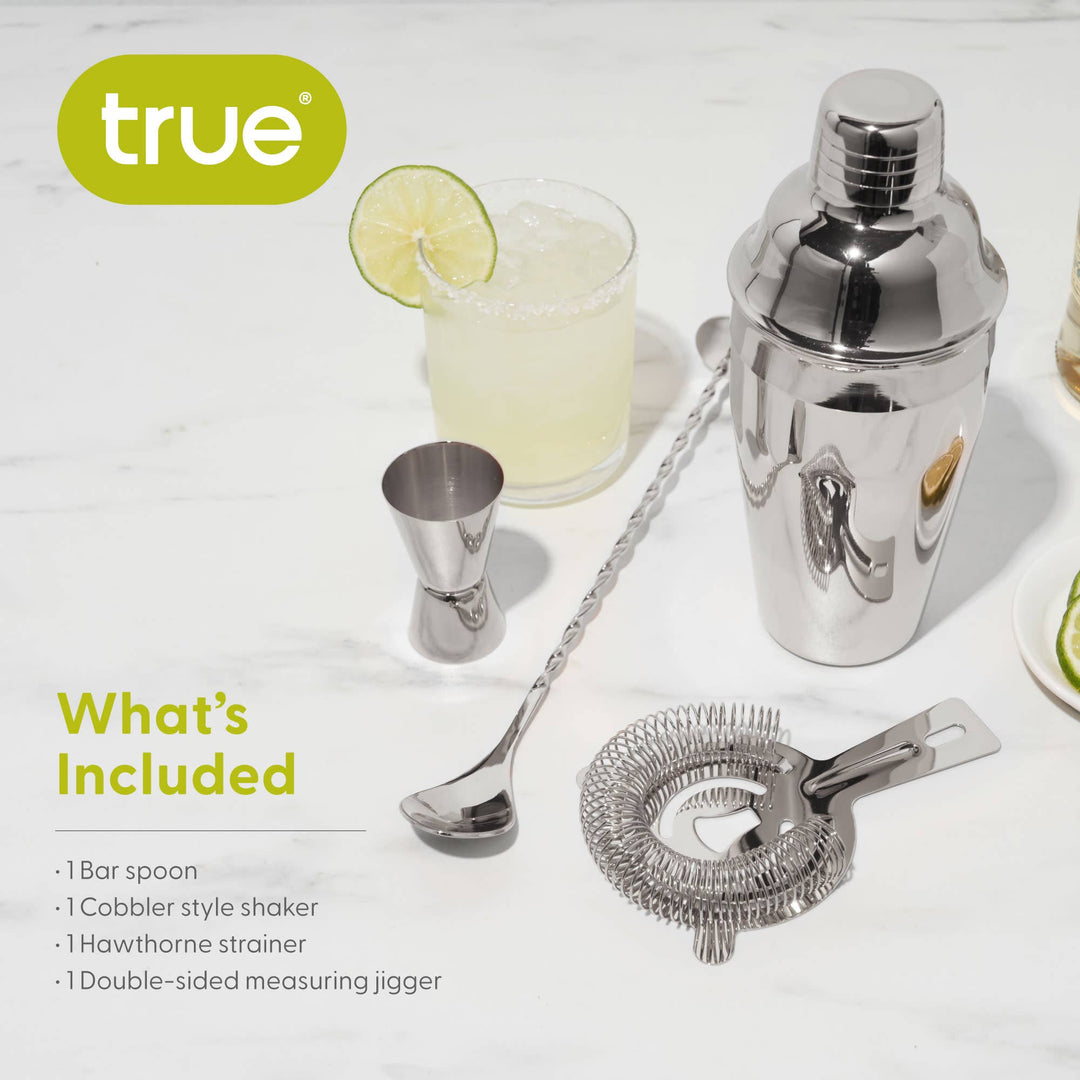 Stainless Steel Barware Set of 4