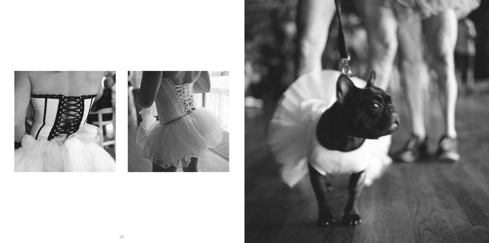 Anderson Zaca: Fire Island Invasion