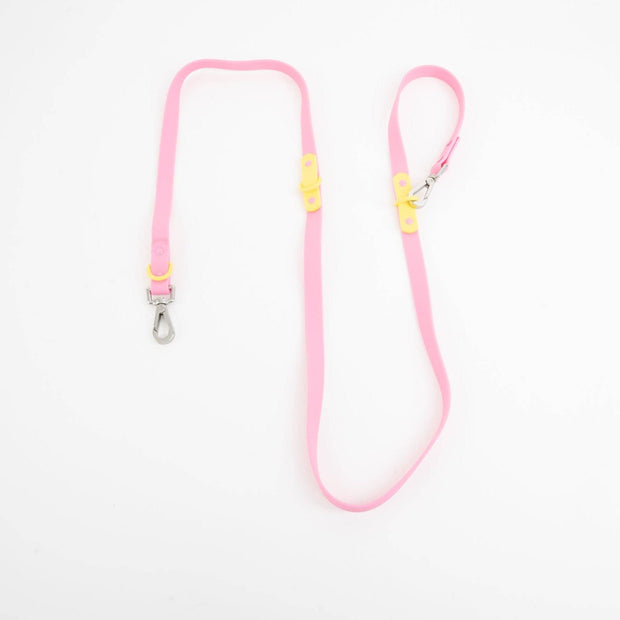 The Fritz Dog Leash | Leash wit Handle | Multi Dog Leash: Liberty green / Standard
