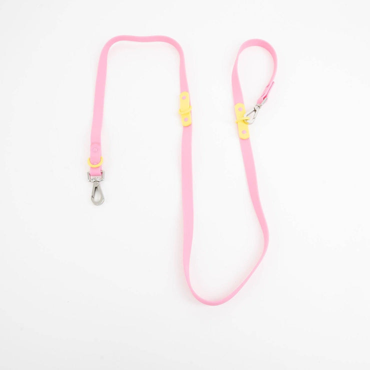 The Fritz Dog Leash | Leash wit Handle | Multi Dog Leash: Liberty green / Standard