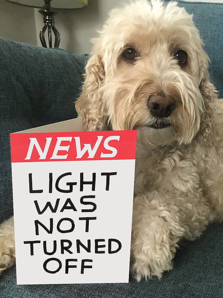 Light Off