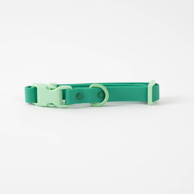 The Fritz Dog Collar : Orange mango / Small