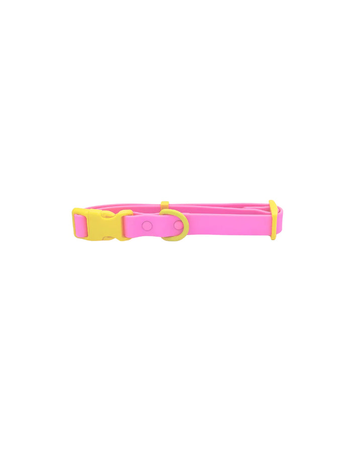 The Fritz Collar: Pink Lemonade