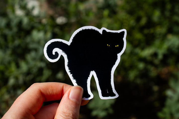 Chunky Spooky Cat Sticker