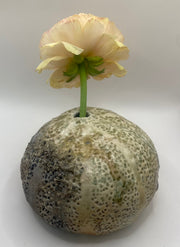 Coral Ball