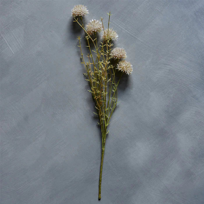 Melaleuca Cream Stem Floral