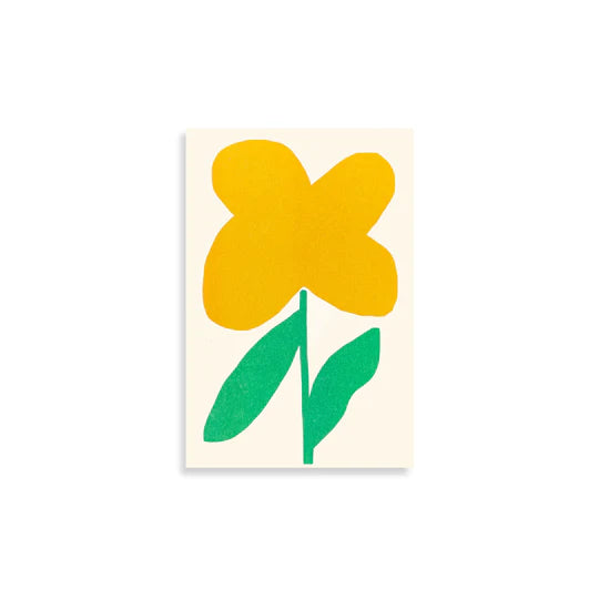 Oxalis Pad
