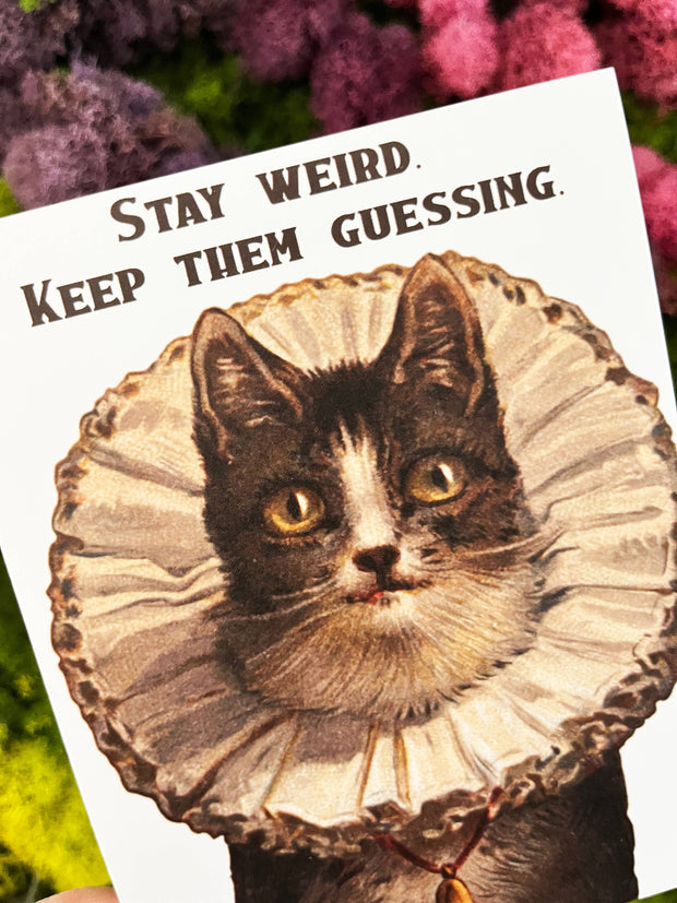 Stay Weird Funny Kitty Card - Birthday Friendship Everyday