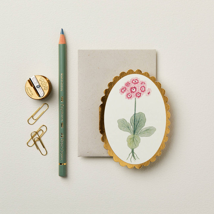Auricula Mini Card