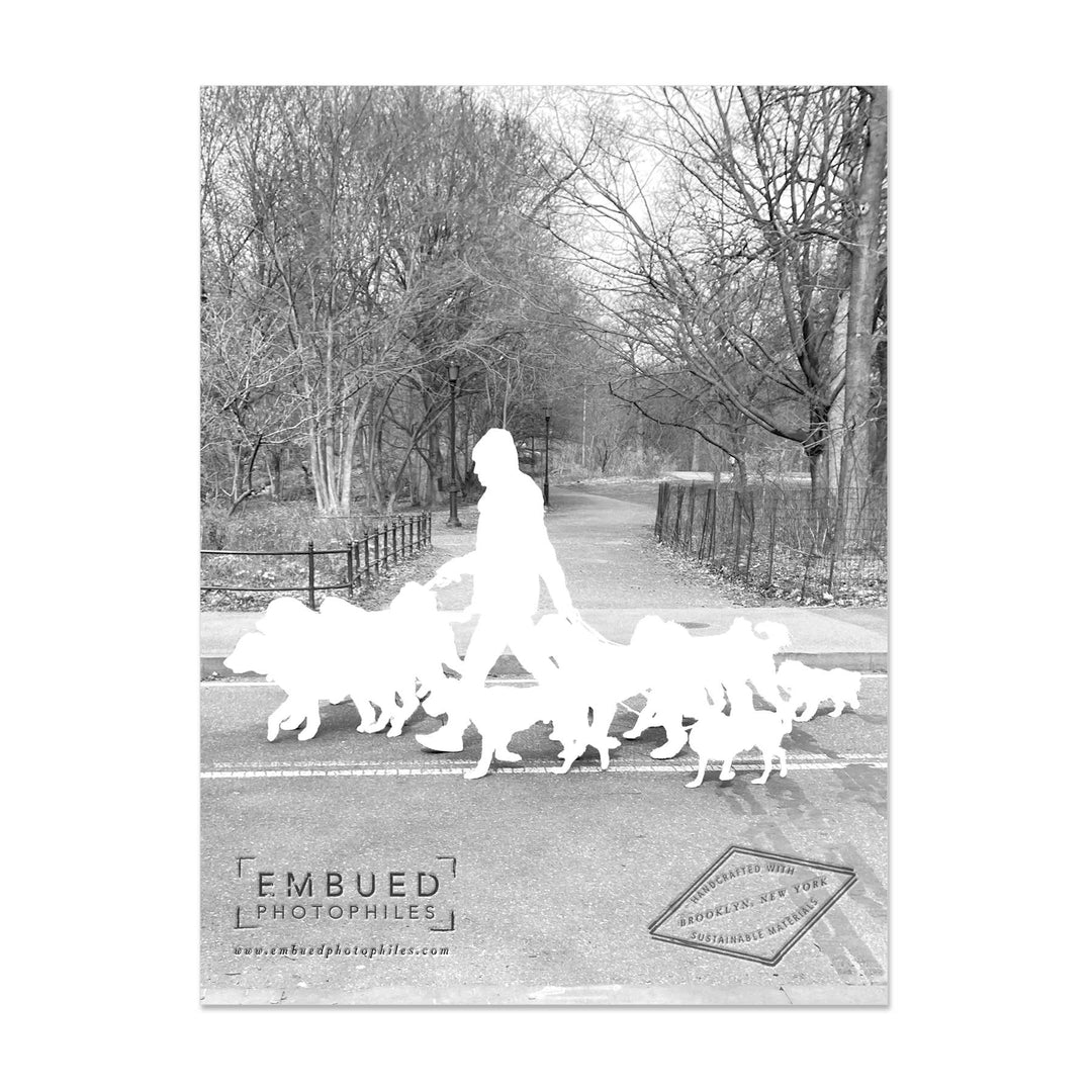 Dogwalker Happy Birthday Card