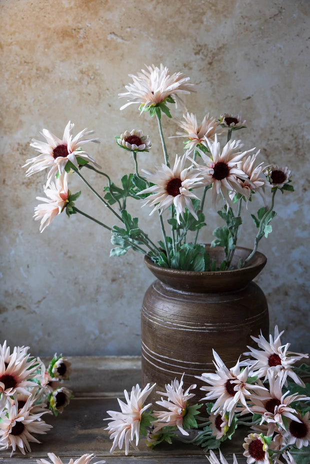 Chrysanthemum Blush Florals