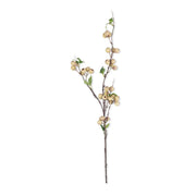 Hawthorn Florals