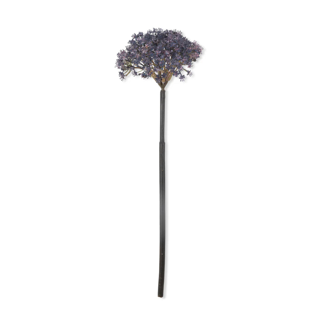 Trachelium Mauve Florals