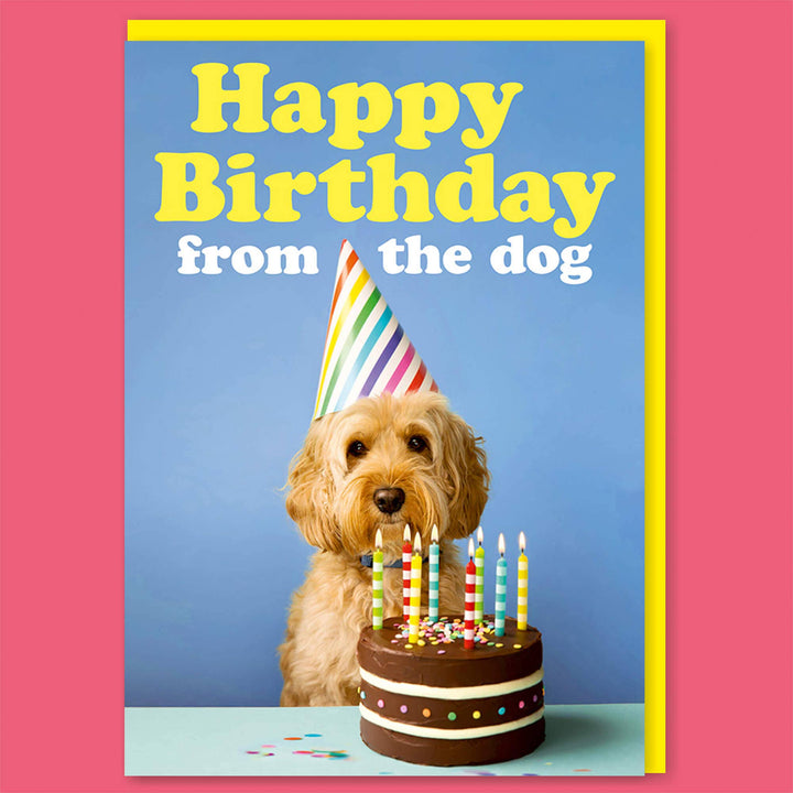 Happy Birthday from the Dog Greeting Card
