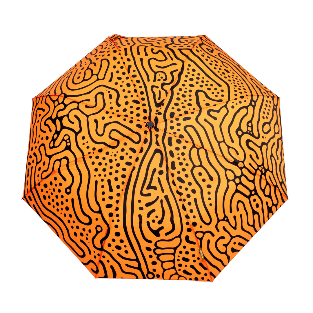 Ferrofluid Eco-Friendly Automatic Daily Umbrella