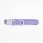 The Fritz Dog Collar : Pink lemonade / Small