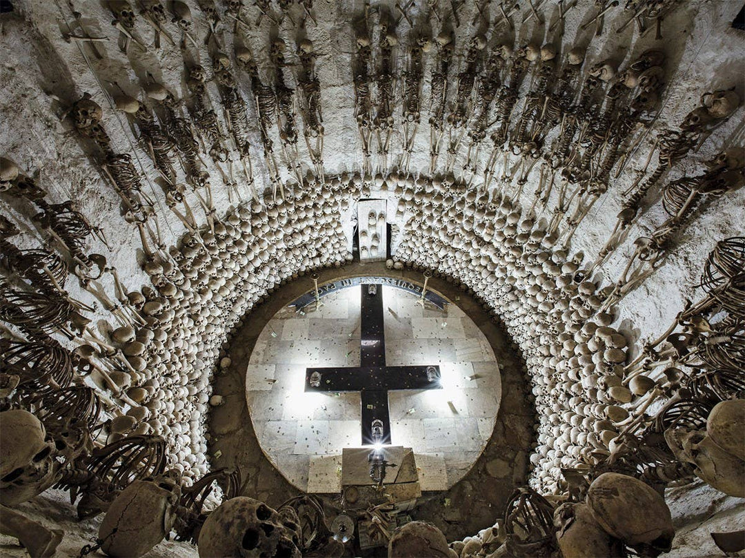 Memento Mori: The Dead Among Us
