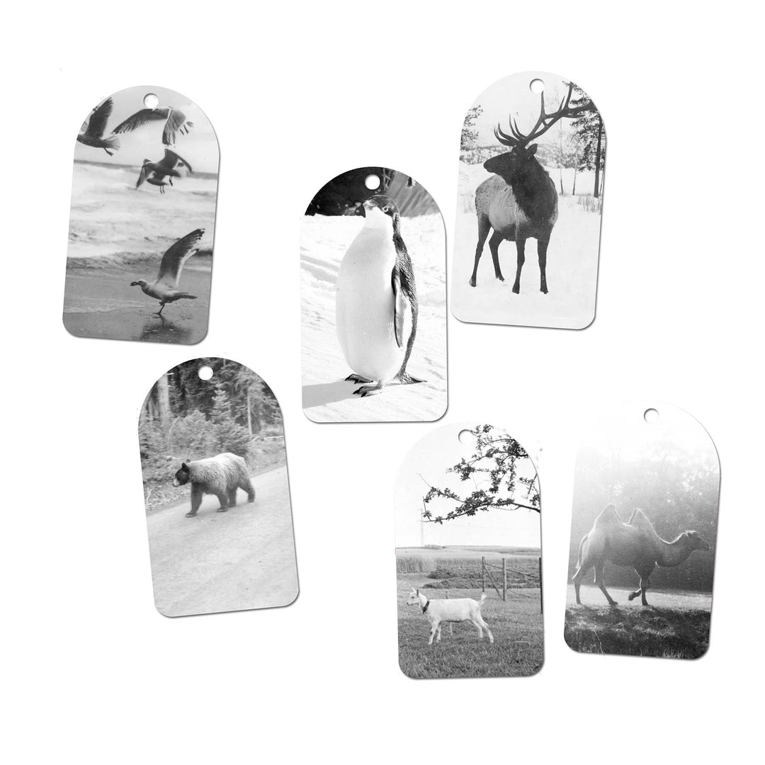 Origin Unknown Animals Gift Tag Set
