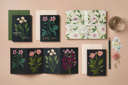 Botanical Daisy 'Birthday Wishes' Card