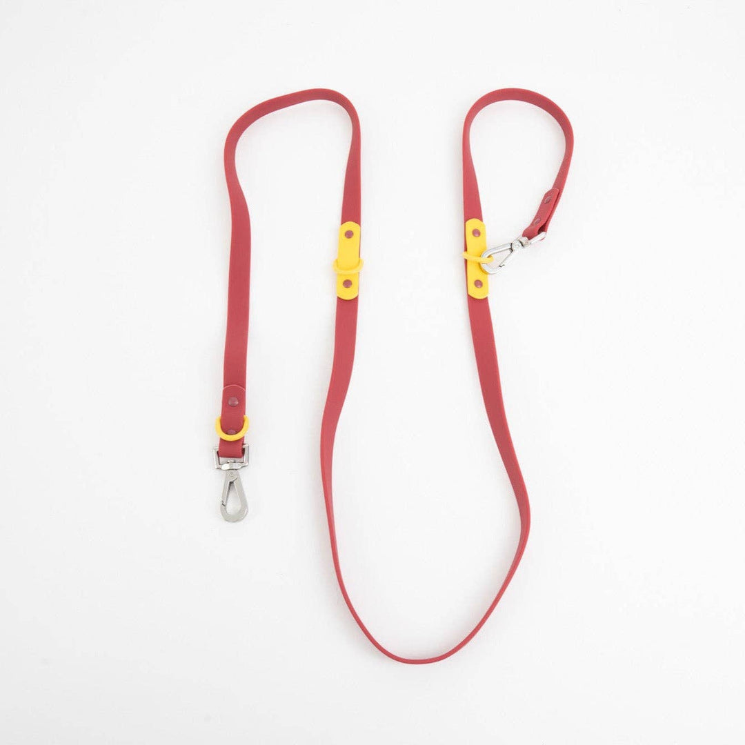 The Fritz Dog Leash | Leash wit Handle | Multi Dog Leash: Orange mango / Small