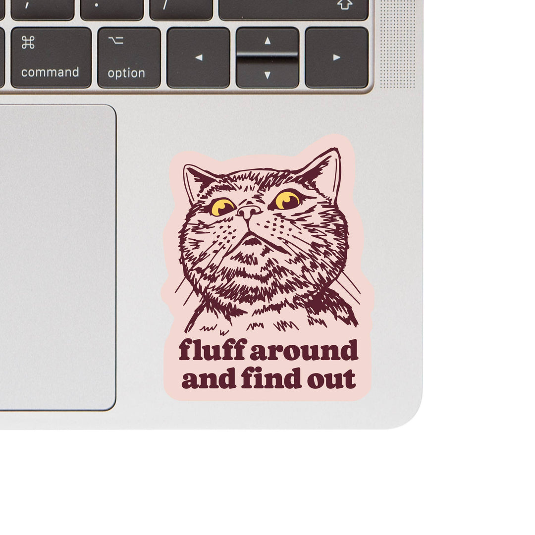 Funny Kitty Cat Swear Humor High Quality Vinyl Sticker