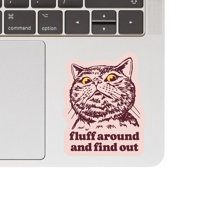 Funny Kitty Cat Swear Humor High Quality Vinyl Sticker