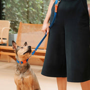 The Fritz Dog Leash | Leash wit Handle | Multi Dog Leash: Liberty green / Standard