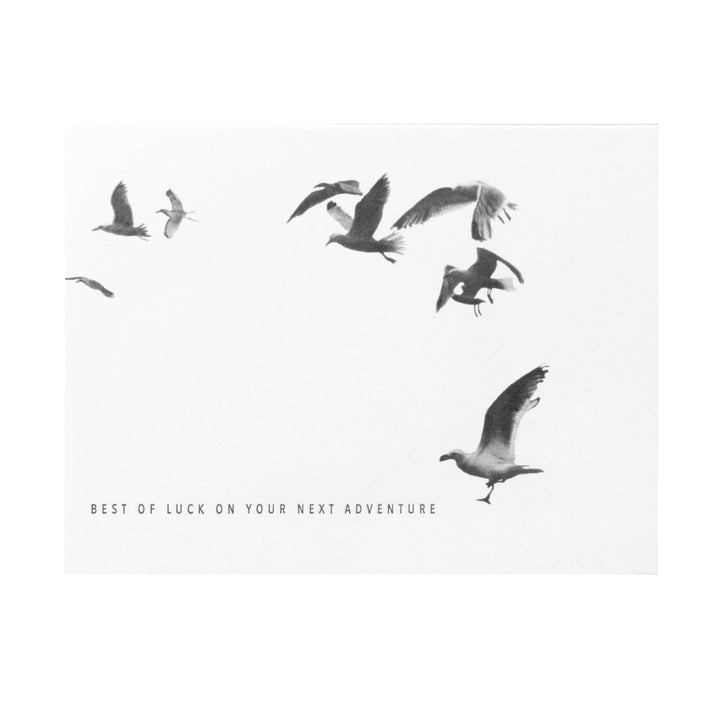 Birds Best of Luck on Your Next Adventure Card