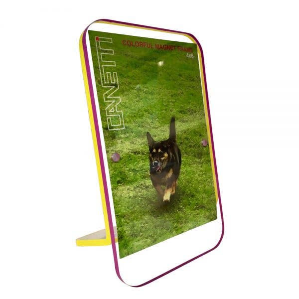 Colorful Magnet Frame 5"x7": White