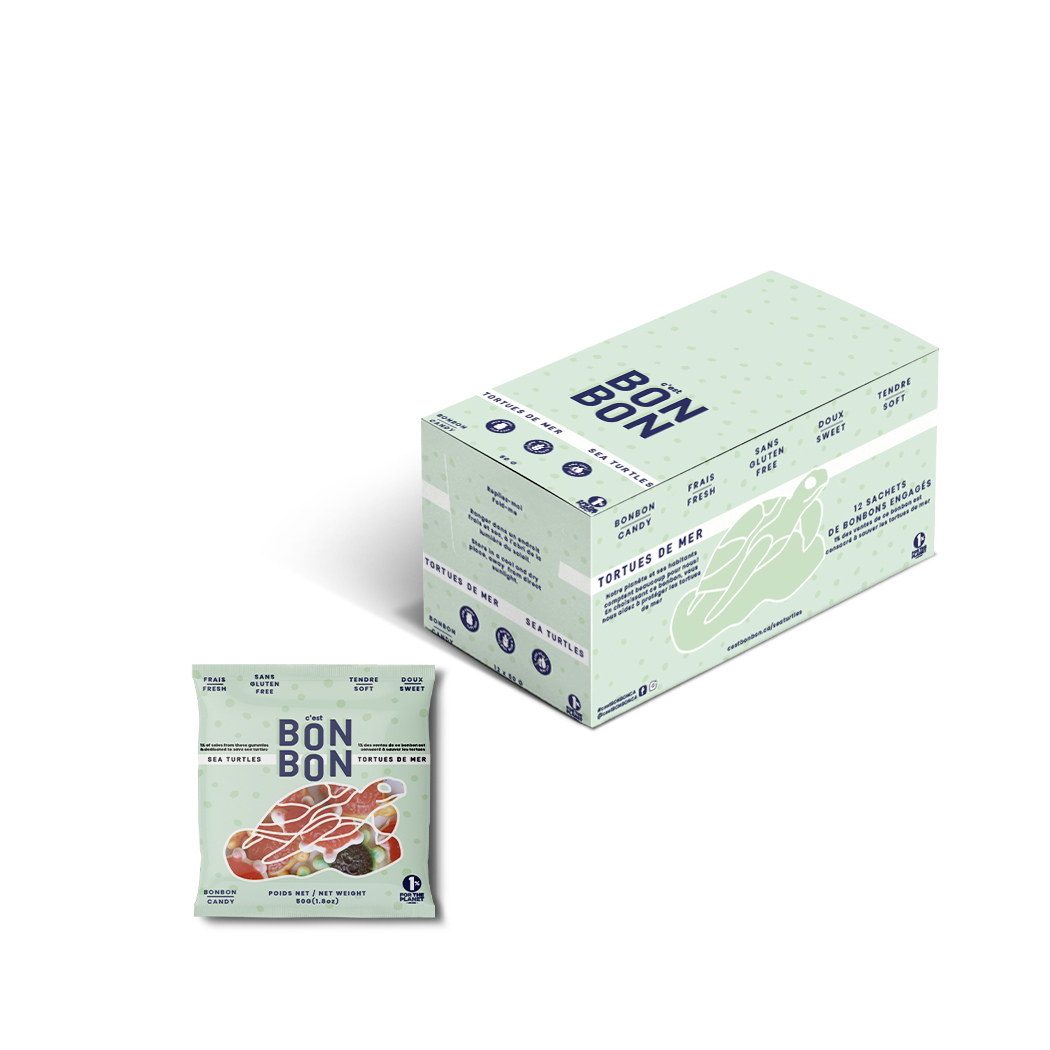 Sea Turtles - Mini Gummies