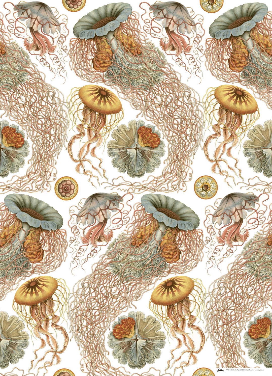 Art Forms In Nature Gift & Creative Paper Book Vol. 83