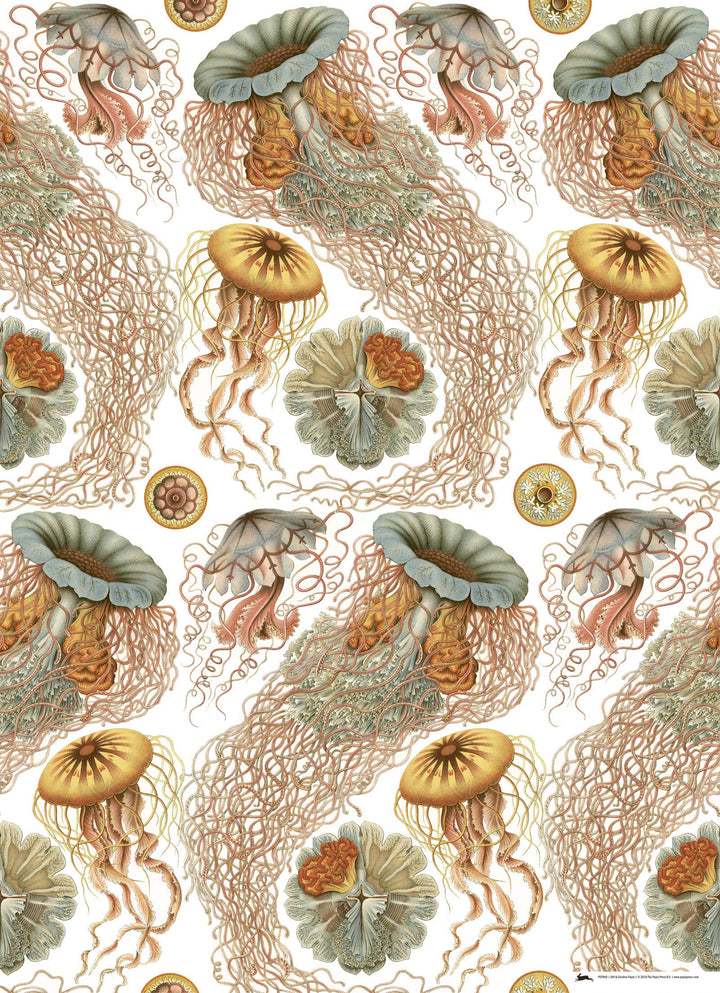 Art Forms In Nature Gift & Creative Paper Book Vol. 83