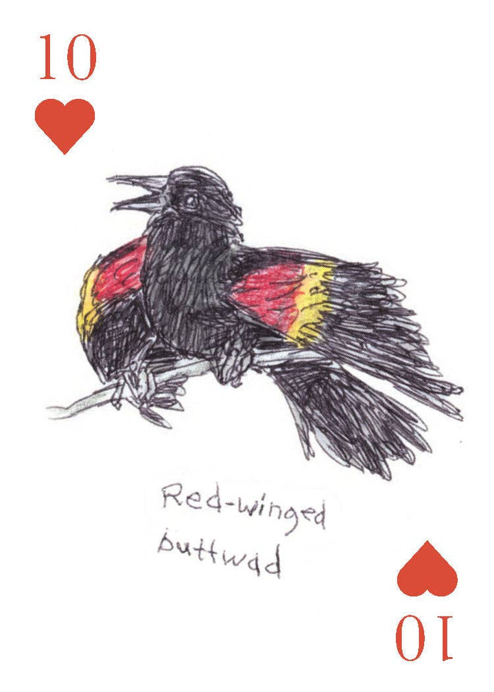 Field Guide to Dumb Birds Playing Cards