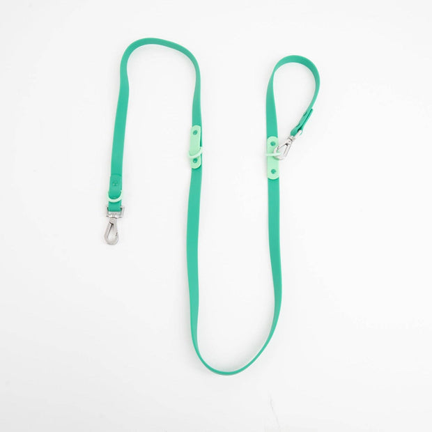 The Fritz Dog Leash | Leash wit Handle | Multi Dog Leash: Liberty green / Standard