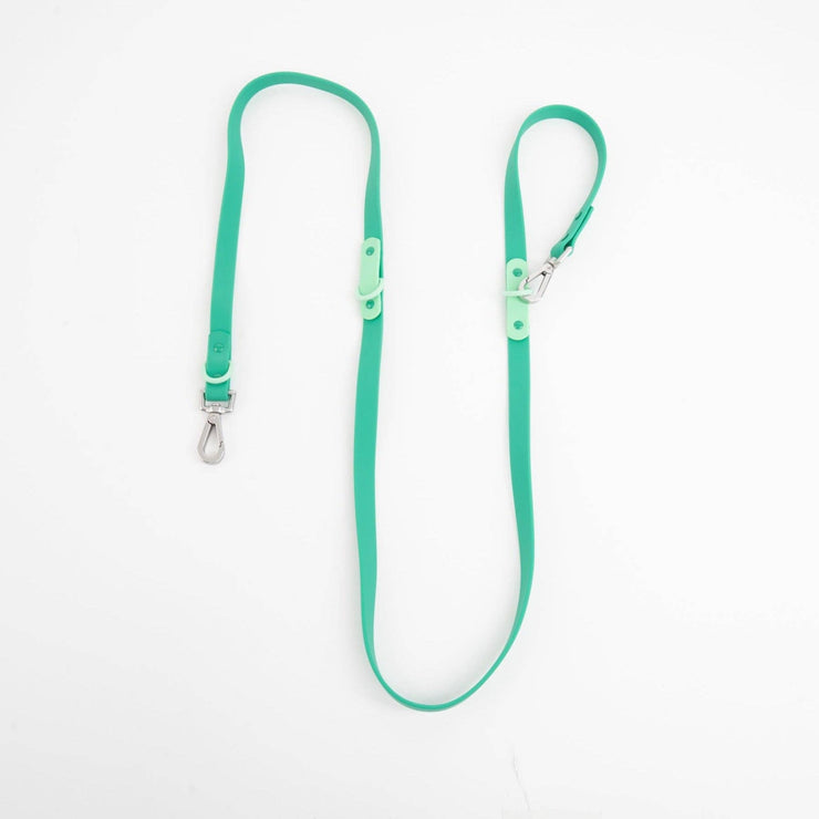 The Fritz Dog Leash | Leash wit Handle | Multi Dog Leash: Liberty green / Standard