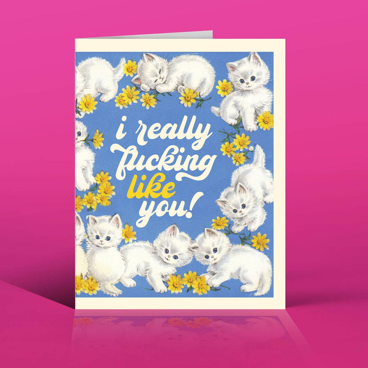 LIKE YOU KITTENS! love card