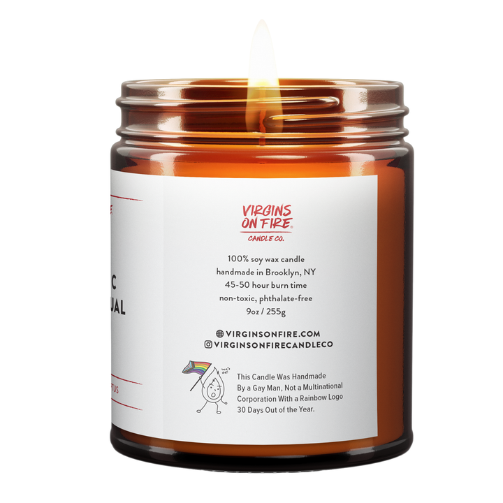 NEUROTIC HOMOSEXUAL (Sea Salt & Eucalyptus) Fun LGBTQ Candle