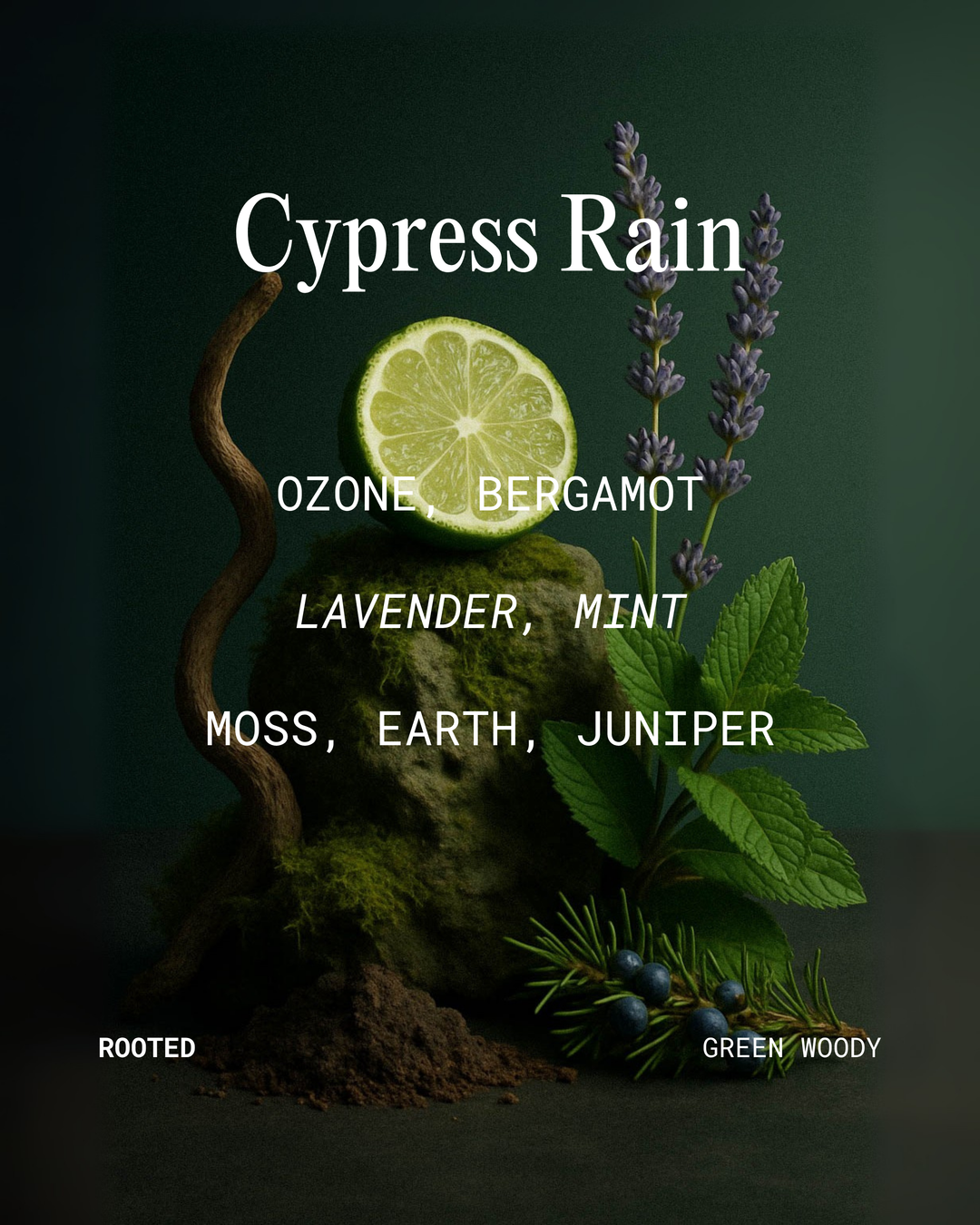 Cypress Rain Candle Jar