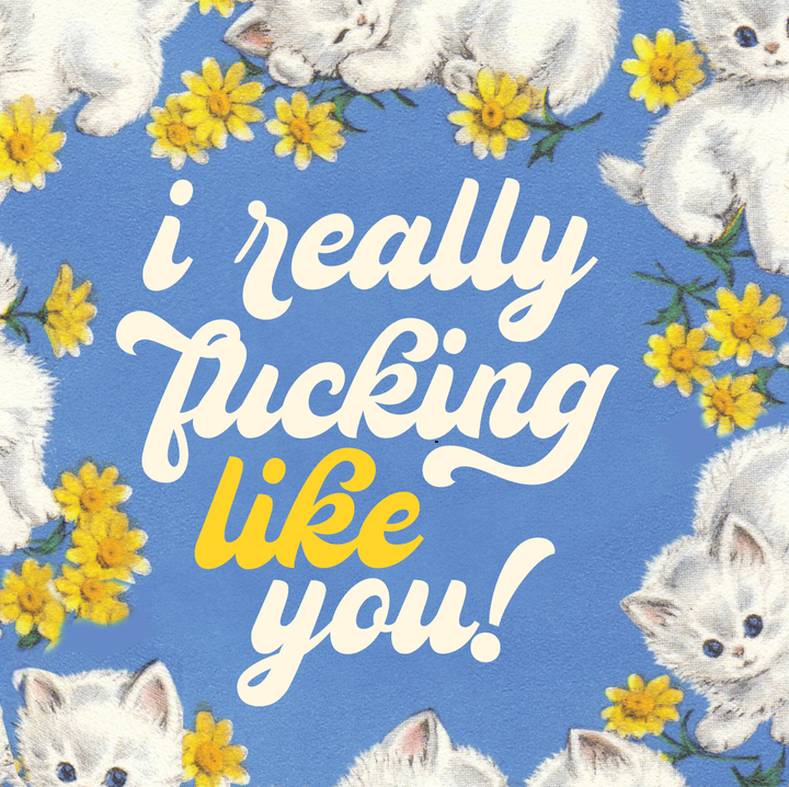 LIKE YOU KITTENS! love card